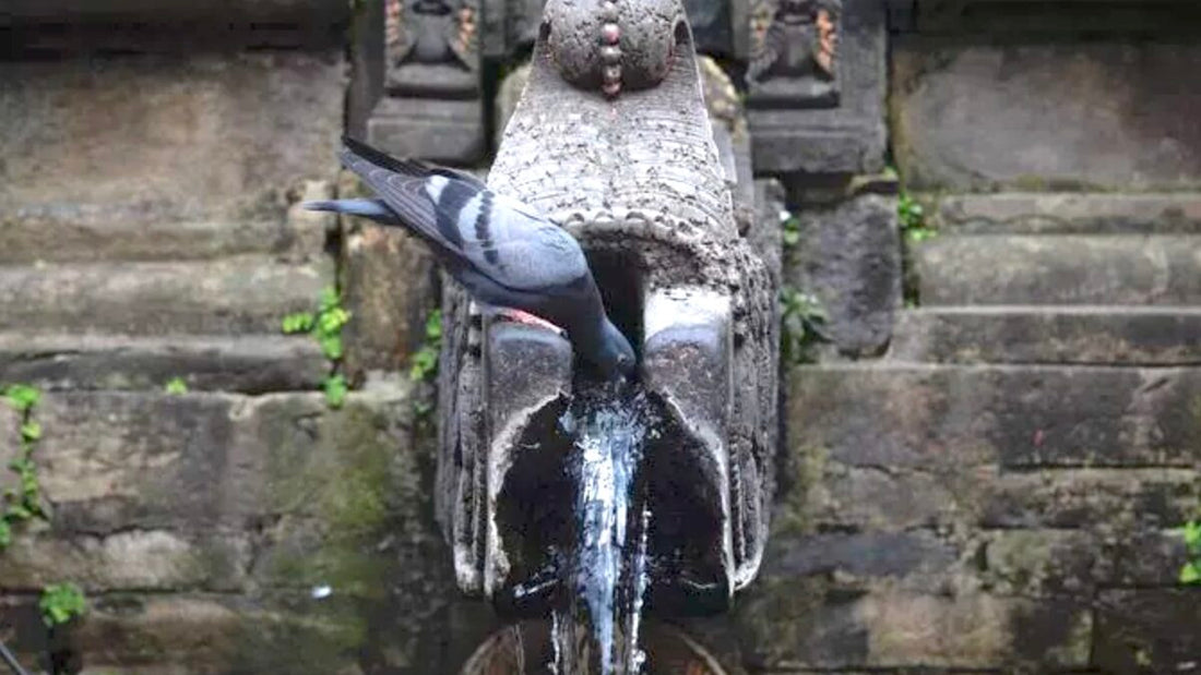 Kathmandu, Nepal's liquid landscape: Hiti Pranali water heritage