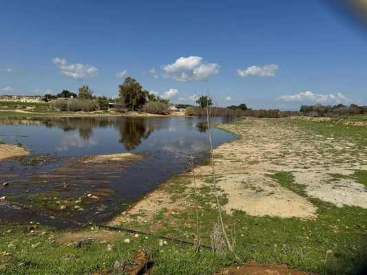 Water reserves drained due to political decisions, Audit Office report finds