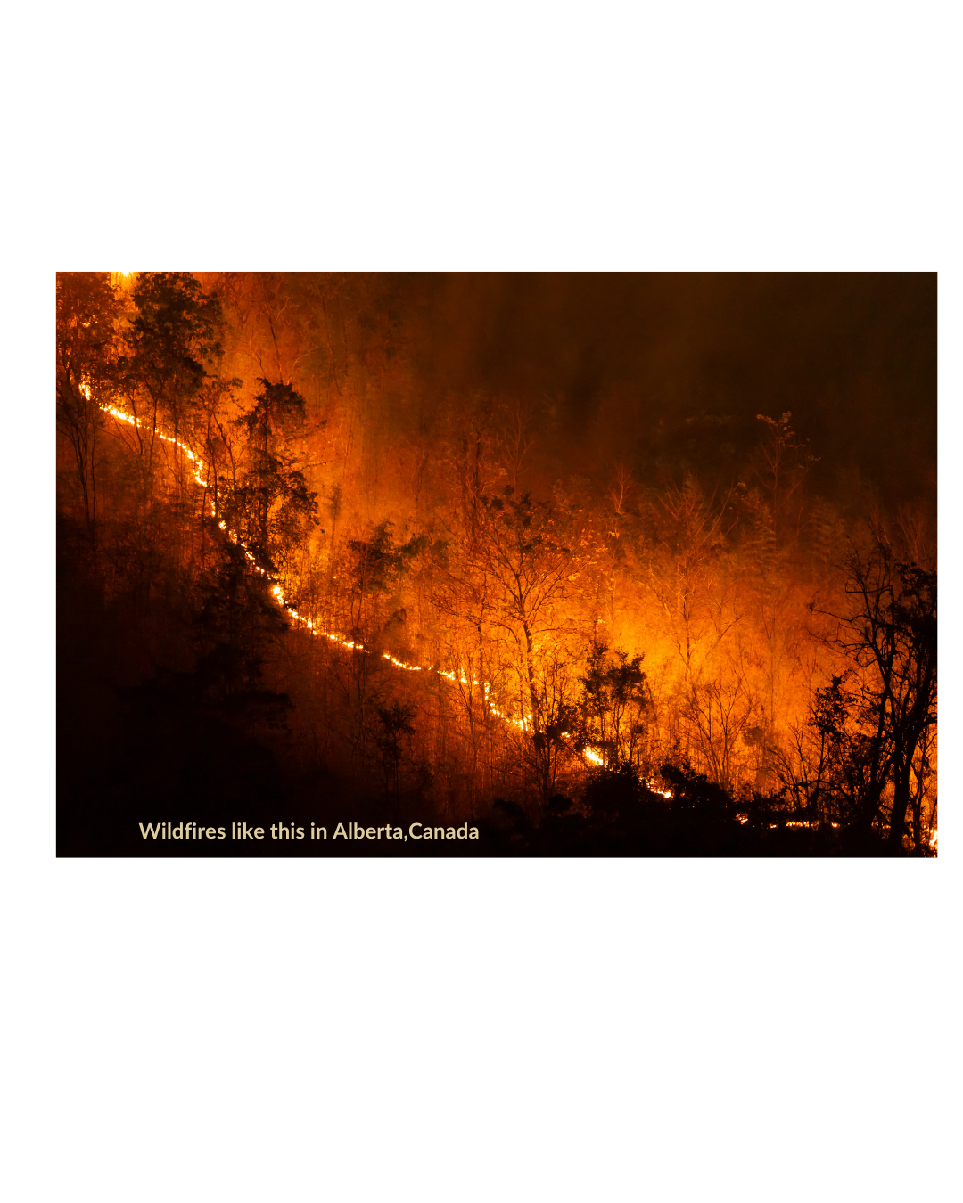 Wildfires threaten water quality for years after they burn