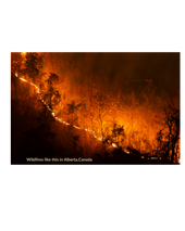Wildfires threaten water quality for years after they burn