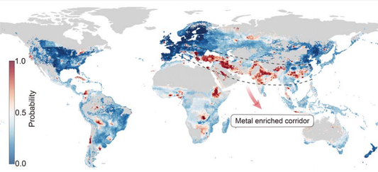 ‘Heavy metals’ contaminate 17% of the world’s croplands, say scientists
