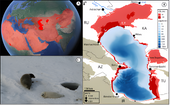 Azerbaijan sounds alarm over Caspian Sea crisis, calls for urgent regional action