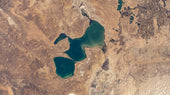 Health effects of the Aral Sea environmental disaster