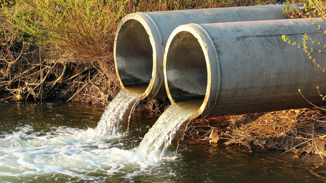 Under-fire water regulator could be scrapped