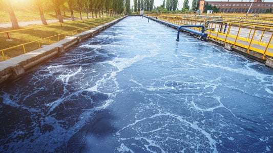 One Water, Many Solutions