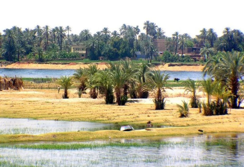 Egypt plans to build city in desert, supply with water from Nile