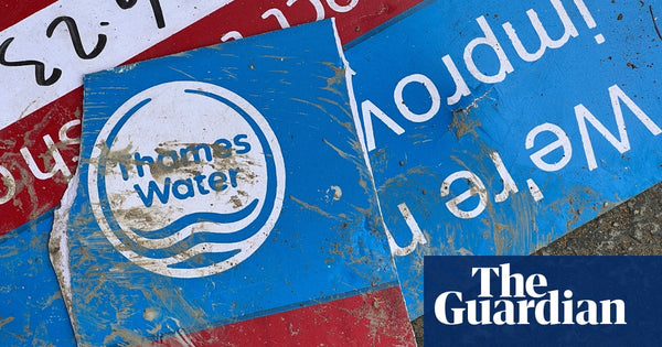 Feeding frenzy: how army of advisers is making millions from Thames Water