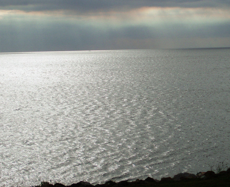 Florida’s drought conditions raise concerns about water storage | Opinion