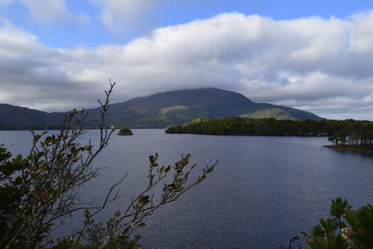 Water Quality in Ireland - Pressures, Trends and Targeting Measures - Catchments.ie