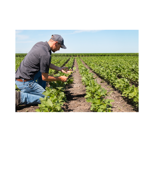 Water Mismanagement in Agriculture: a Case Study of Greece. Starting with “how” and "why"