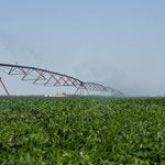 Global trends in groundwater levels: good news and bad news