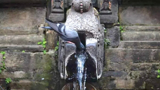 Kathmandu, Nepal's liquid landscape: Hiti Pranali water heritage