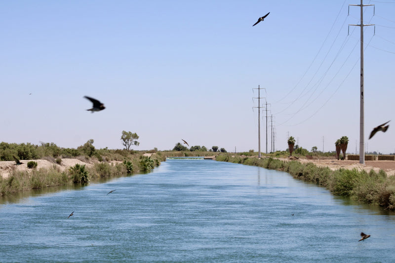 New study shows huge groundwater losses along Colorado River