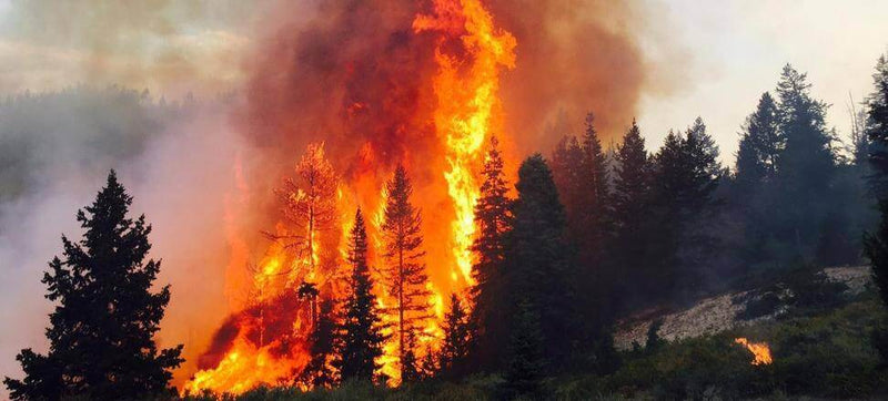 Forest fires and water quality – a regional problem