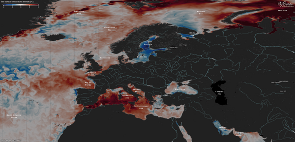 Record High-Intensity Heatwaves Sweep the Mediterranean Sea