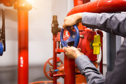 Newfoundland announces 2026 Operator of the Year winners