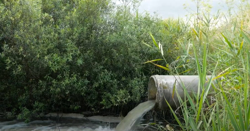 Which European countries have nationalised water?