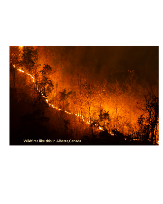 Wildfires threaten water quality for years after they burn