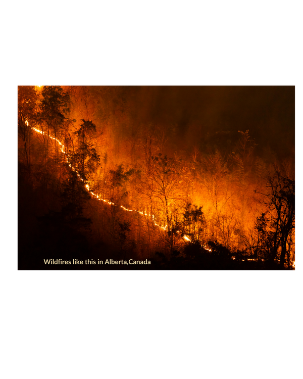Wildfires threaten water quality for years after they burn