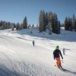 Less snow in the Alps will affect society in many ways