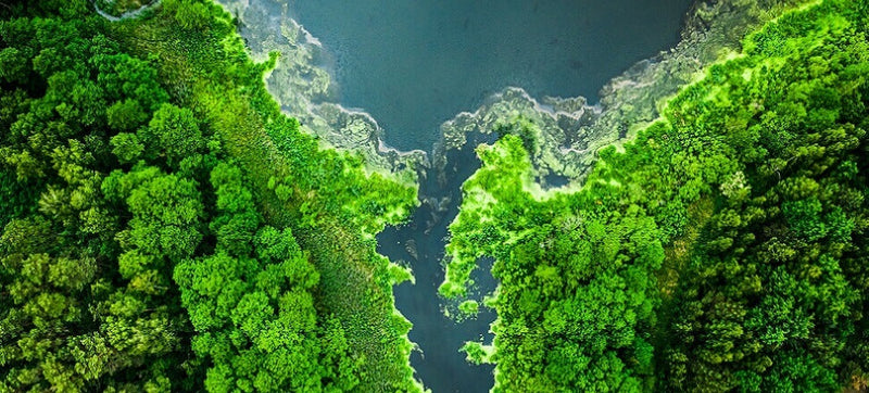 Inland waters increasingly low in oxygen