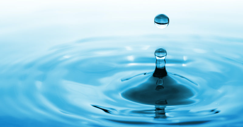 Water Resources: Water & Site Selection