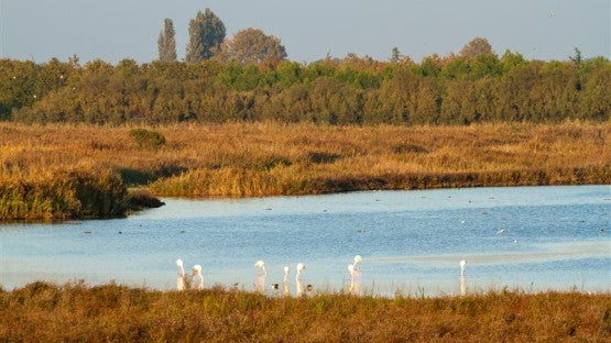Study warns of future drought in Italy’s Alpine region