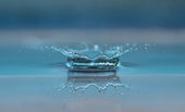 Freedom to water in Alberta