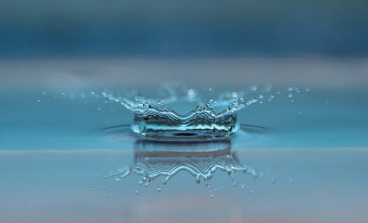 Freedom to water in Alberta