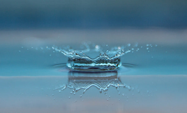 Freedom to water in Alberta