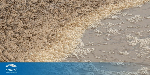 UK Government enforces stricter rules on sewage pollution and nature-based solutions