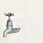 There’s something in the water