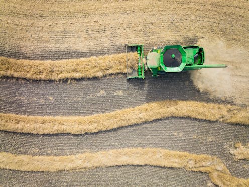 Tonnes of microplastics infiltrate Australia’s agricultural soils each year, study shows