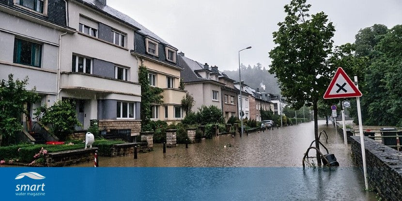 Lower revenues, pricier loans: how flooding in Europe affects firms and the financial system