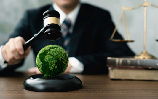 Canadian business execs risk lawsuits from climate and nature risks