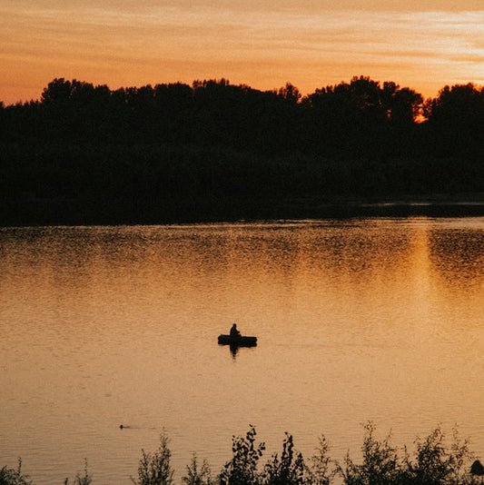 Rivers are heating up faster than the Air − that’s a Problem for aquatic Life and People