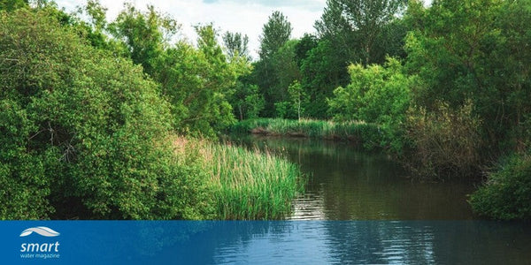UK water sector faces historic investment challenge to secure water future, NAO report warns