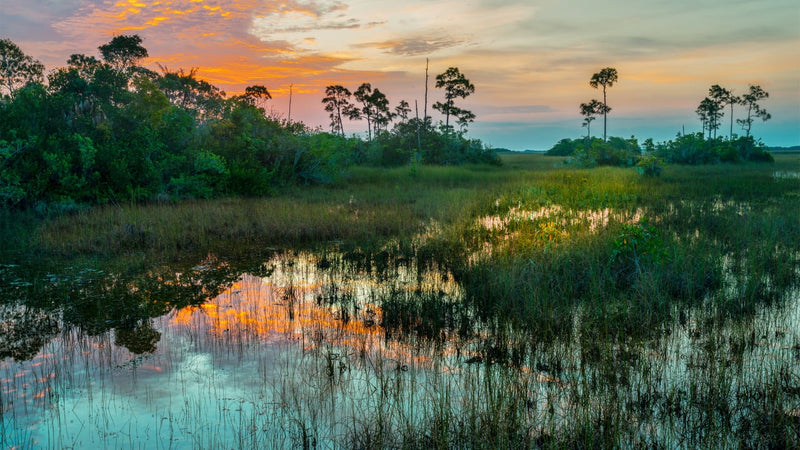 South Florida gets its drinking water from the Everglades—but it’s increasingly under threat