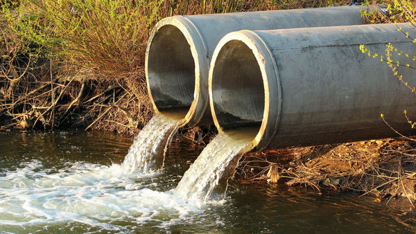 Under-fire water regulator could be scrapped