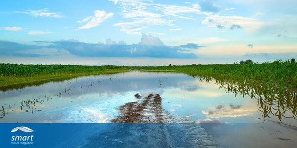 Water providers begin receiving more than $900m from historic PFAS contamination settlements