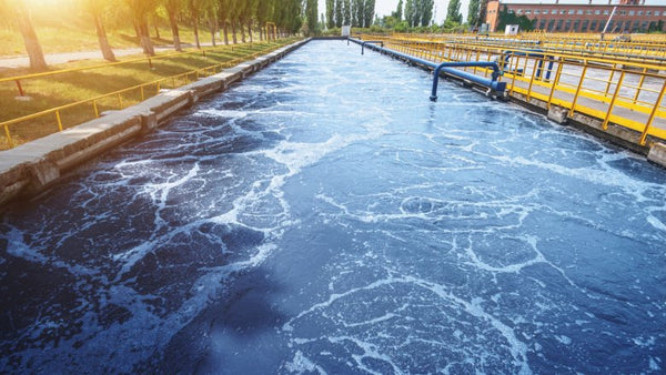 One Water, Many Solutions